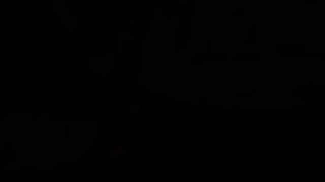 小狐狸～抓到你了～