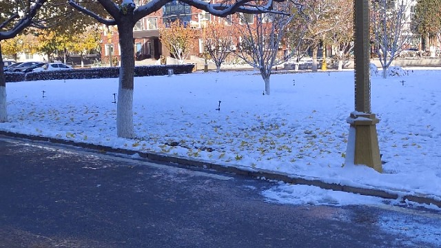 大雪纷飞，凛冬将至