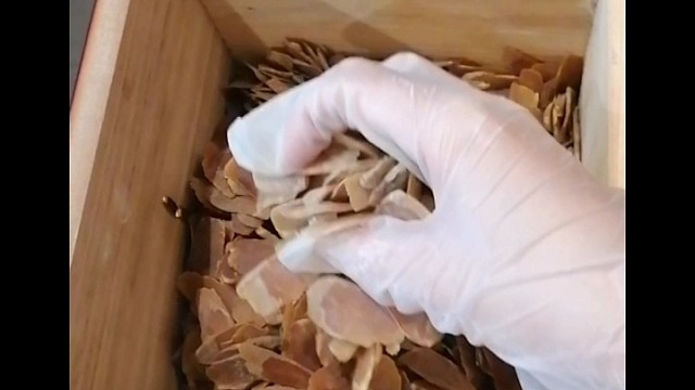 手抖？早发现早治疗早恢复