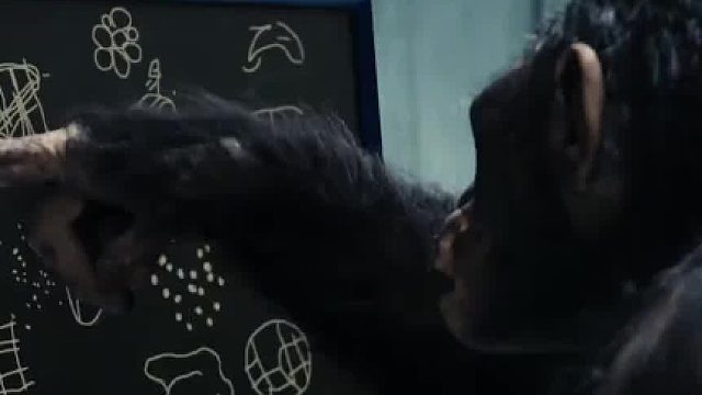 世界上唯一上过大学的猩猩，被当成人类养大，后来结婚生子了吗02