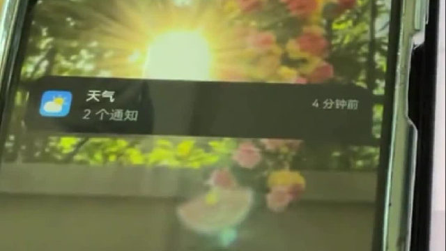 Siri主打一个尊重他人命运。