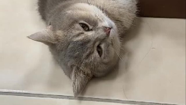 伸懒腰的脚趾头好迷人！