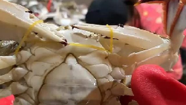 什么是水蟹，水蟹有多少水