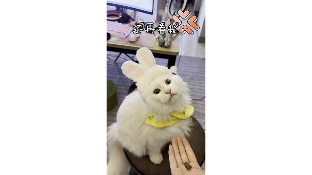 在看我就把你吃掉～