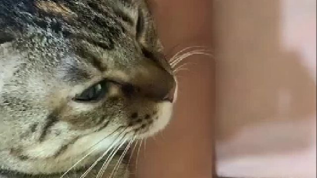 手抱紧了拿不开，想拿开就低吼