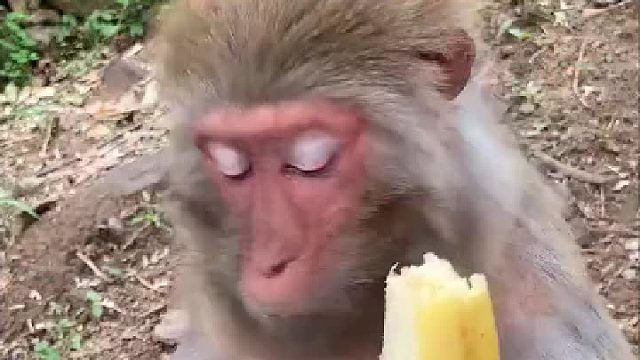 这强迫症太严重了....