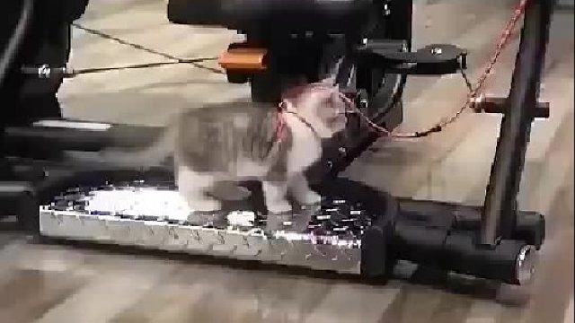 这谁能踏实健身啊