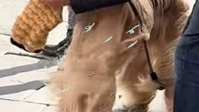 留长发出门一定要扎好