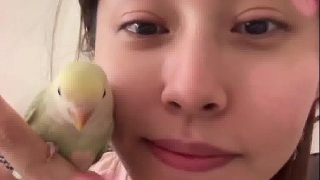 养宠物哪有不疯的呢