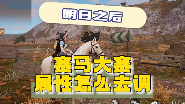 明日之后赛马大赛如何调属性~