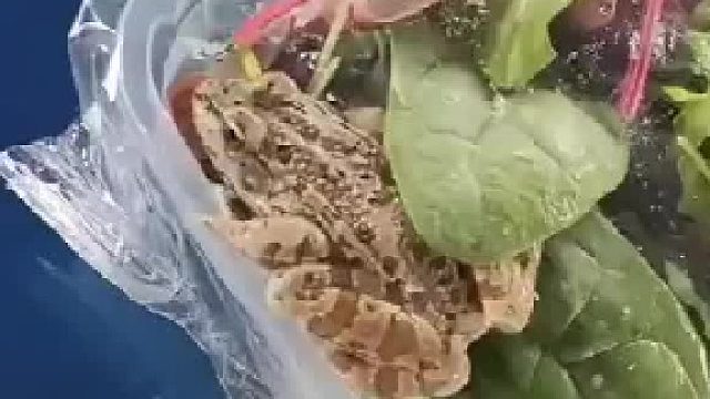 这特么能当场吓死