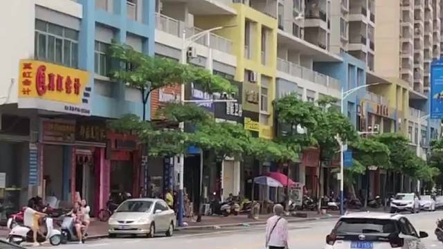 鹦鹉日常放飞视频