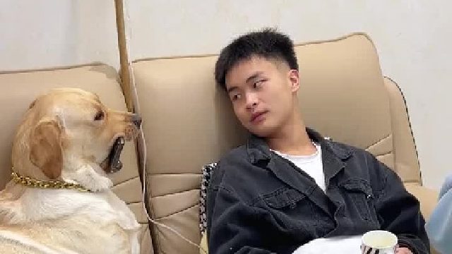 狗子：有点亲情，但不多