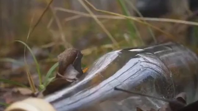 看起来挺有用的样子