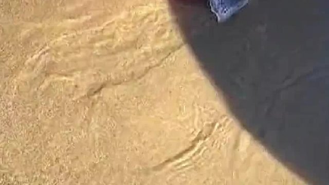 这是一种连海绵宝宝都惧怕的生物