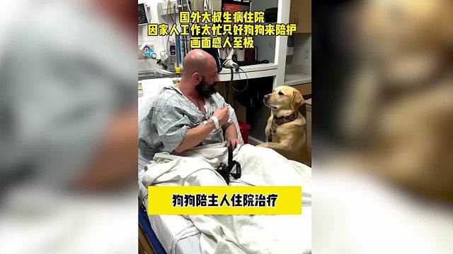 万物皆有灵  主人生病  狗狗时刻陪伴身边一刻不离#狗狗#万物皆有灵