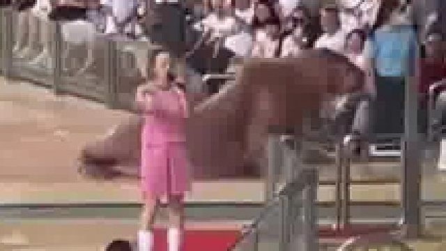 好想采访一下当事人的内心 深处那种哈哈哈哈