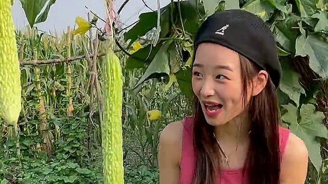 今天给大家整点高档苦瓜