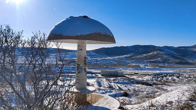 下雪了上山看雪景