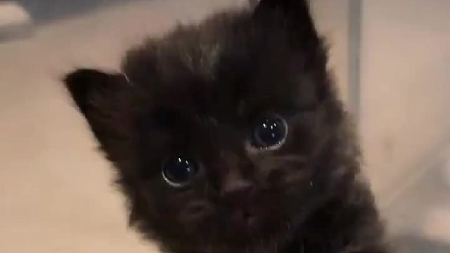 救命啊这小舌头太撩人了