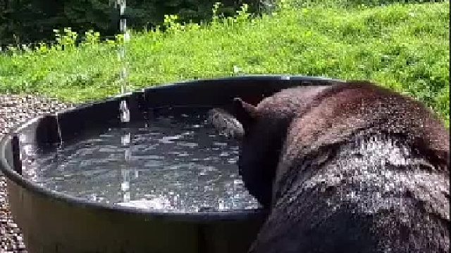 天气辣么热，泡个澡舒服一下~