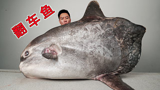 （下）5800買一條100多斤的翻車魚，切開后大翻車