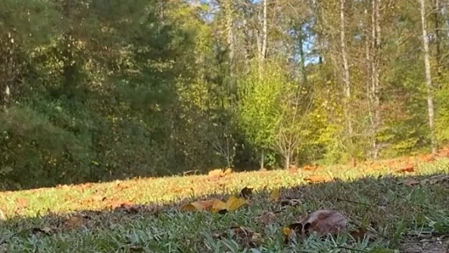 为什么突然懵逼了一下