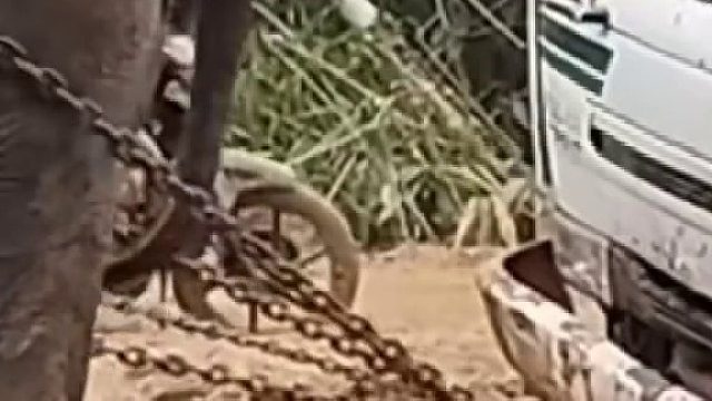 大象拉车，力真大……