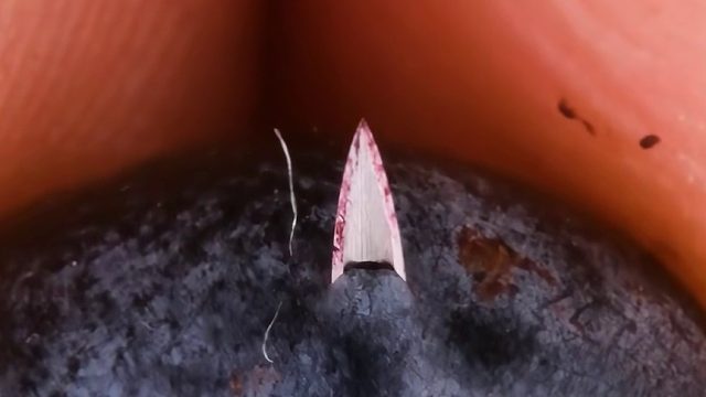 我擦，放大之后最可怕的就是看到有虫子