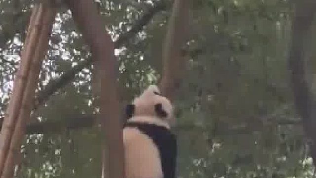 游客：这是在演我的早八状态