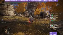 【沐】白狼流番外篇17-3 植物人3（出血免疫）