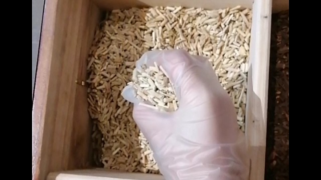 手抖？早发现早治疗早恢复