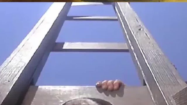 颠覆你认知的大脑秘密：人被砍头后还有意识吗，无脑人如何生活01