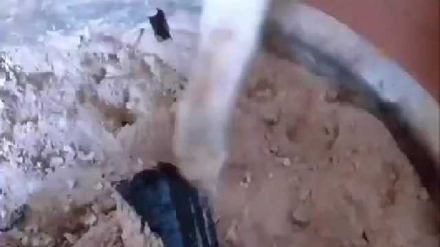 猫：又是手欠的一天～