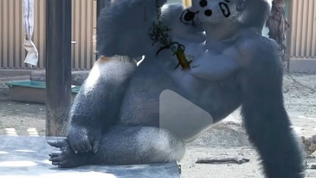 打破焦虑我行我速 每天开开心心跟着音乐动起来 怎么开心