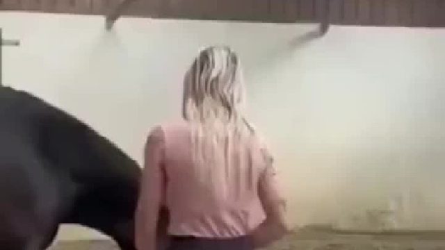 真想知道这匹马的内心在想什么