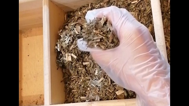 手抖？早发现早治疗早恢复