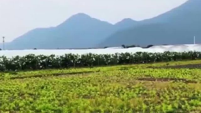 农牧业认养：双赢模式的成功实践