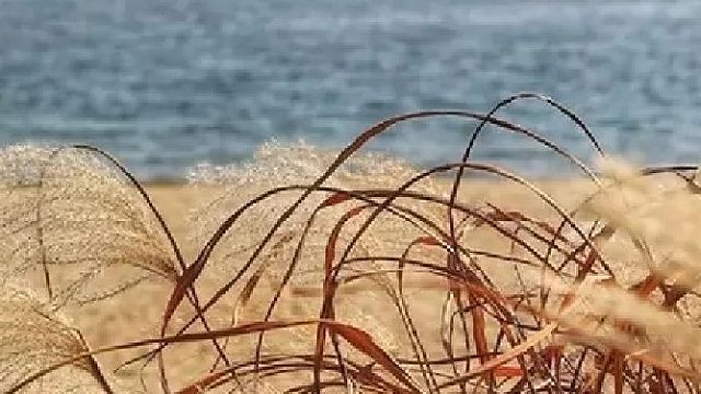 梨花聲音教育如何讓你的發(fā)音變的沉穩(wěn)