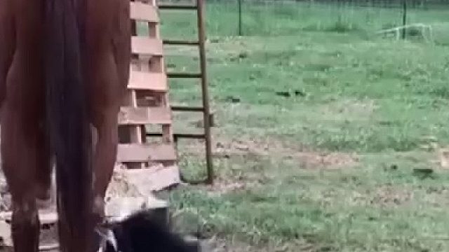 小样！找死啊！