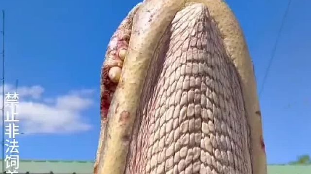 这能做多少个包啊