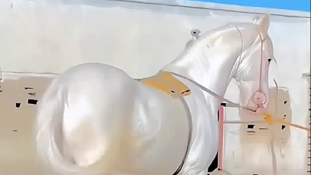 价值八千万的汗血宝马