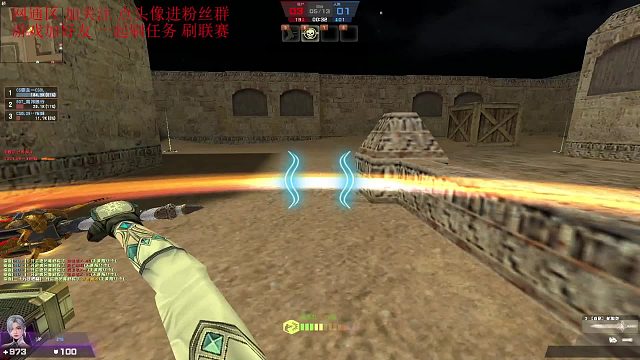 反恐精英Online 唉 蛇腹剑在生化里除了跑没啥鸟用