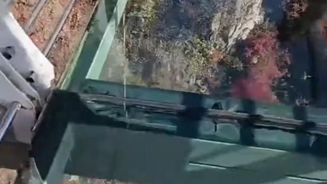 狗子你也太拉胯了吧