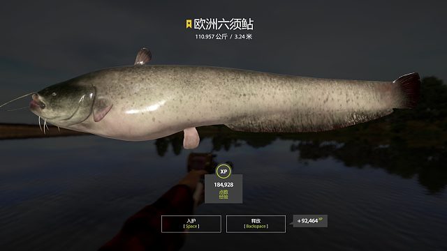 再遇散步趴窝猪。