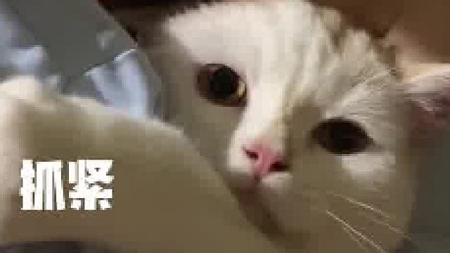 为什么会这样，我想不通，但我大受震撼