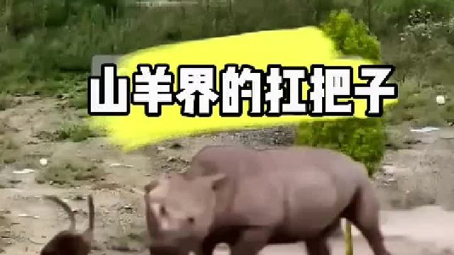 竟然跑了，且头也不回地跑了！