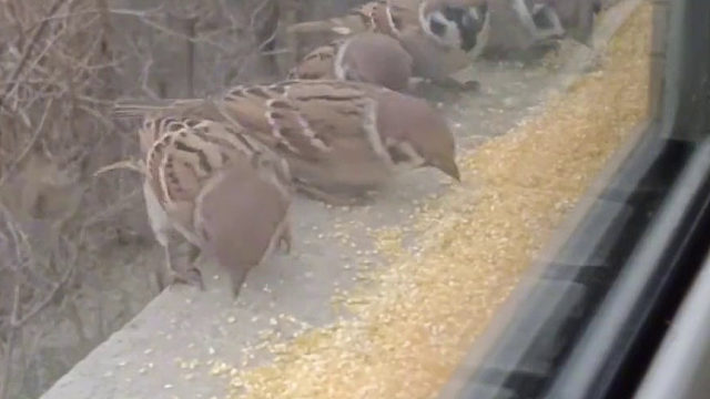 愿每个生命都被温柔以待…