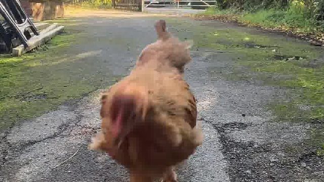 青春没有售价，今天尝尝我爸