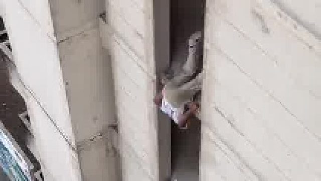 高手在人间，失手在阴间